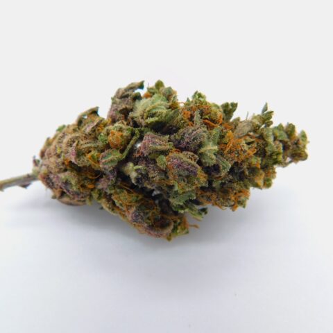 Purple Punch CBD