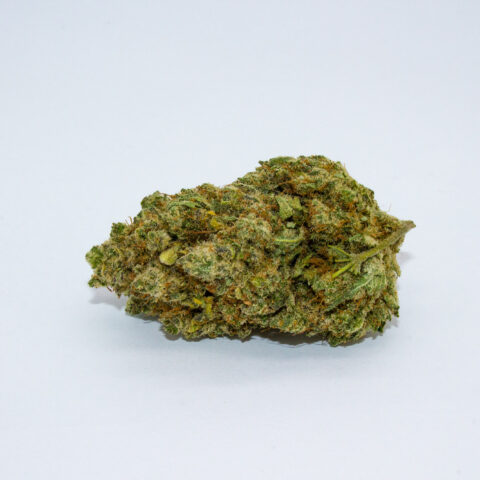 Amnesia Haze CBD
