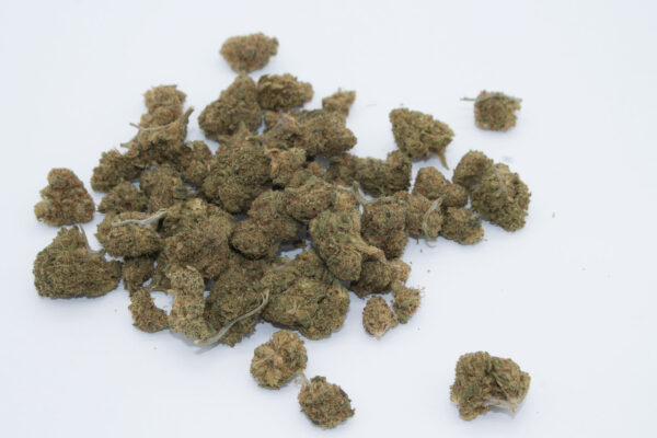 Small Buds Super Lemon Haze CBD (INDOOR)