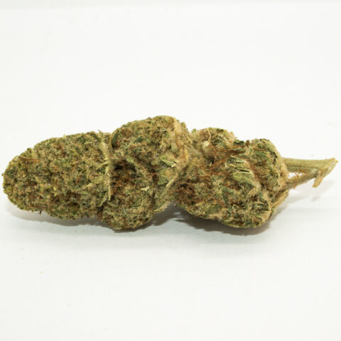 Alien OG CBD